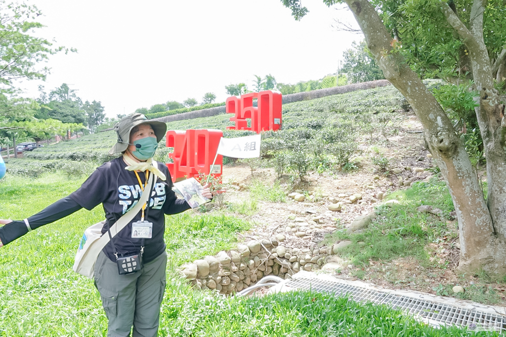 桃園龍潭三水之旅-暑假農遊輕旅樂學水土保持/豐富的生態知識 採茶體驗 乳姑山夜景/奉茶亭步道秘境之旅/親子一日遊 @靜兒貪吃遊玩愛分享