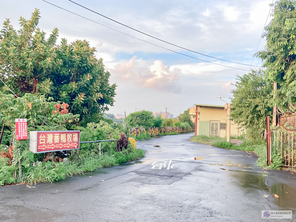 台灣番鴨牧場-隱身巷弄人氣餐廳！白鐵大鋼盆薑母鴨，免費雞油飯、麵線吃到飽 @靜兒貪吃遊玩愛分享