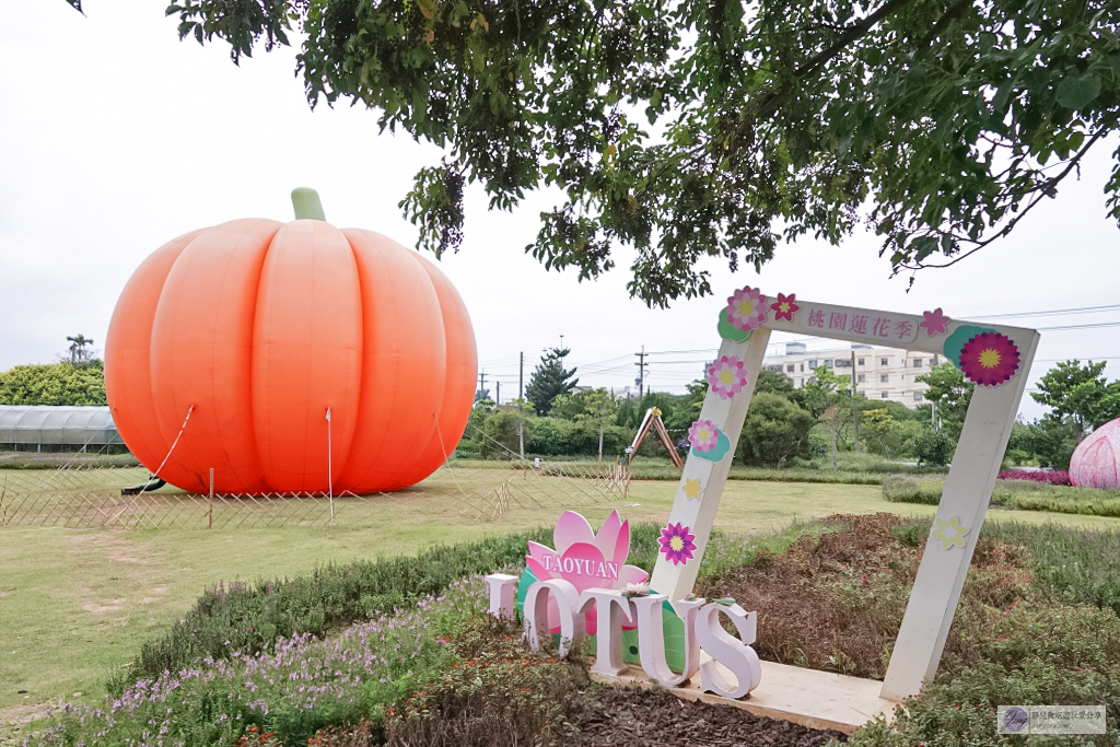 桃園活動-2022桃園觀音萬聖南瓜節-巨型南瓜氣球、試膽鬼屋、幽靈糖果屋必朝聖，濃厚的萬聖節氛圍 @靜兒貪吃遊玩愛分享