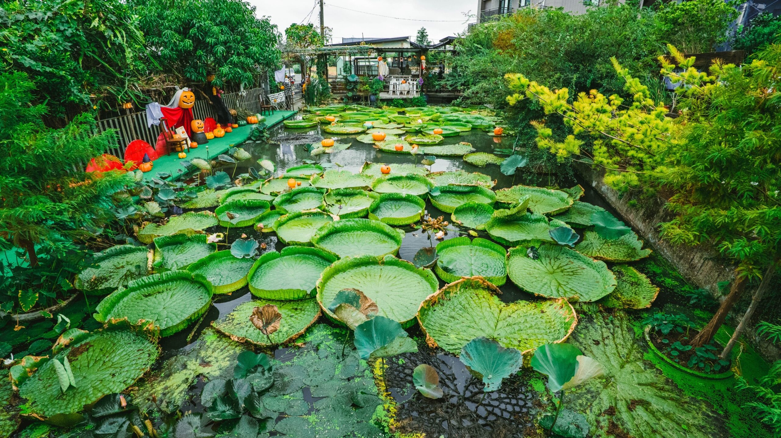 桃園活動-2022桃園觀音萬聖南瓜節-巨型南瓜氣球、試膽鬼屋、幽靈糖果屋必朝聖，濃厚的萬聖節氛圍 @靜兒貪吃遊玩愛分享