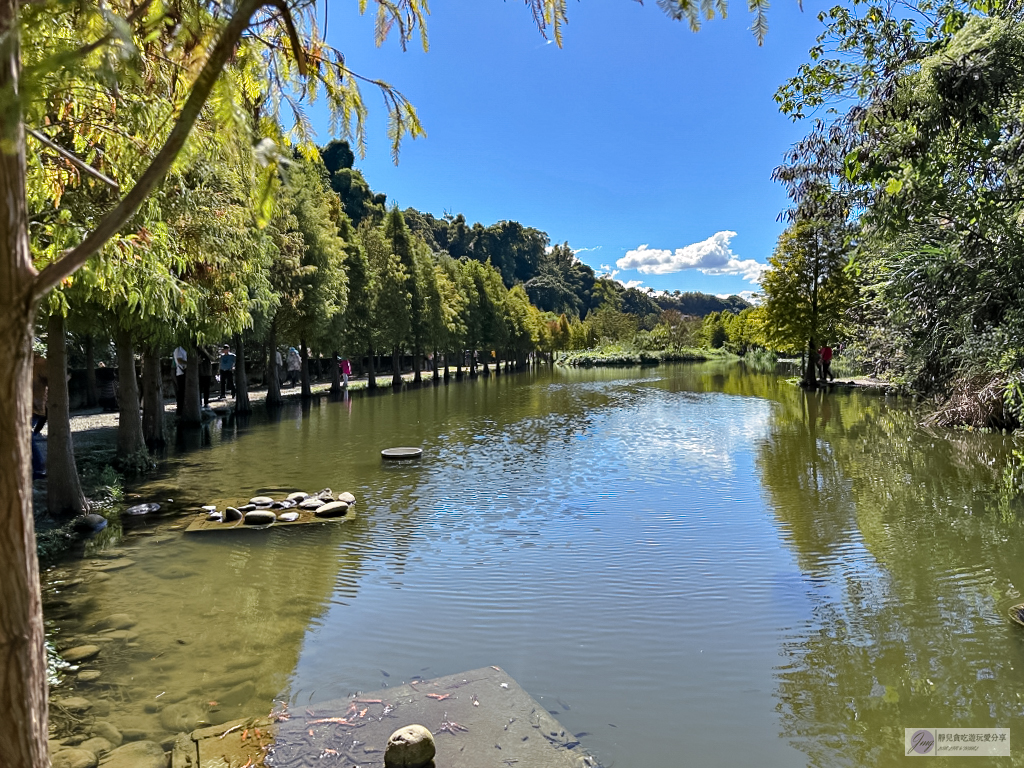 桃園大溪景點-月眉人工濕地生態公園-波光粼粼湖面上的夢幻落羽松，免費景點 @靜兒貪吃遊玩愛分享