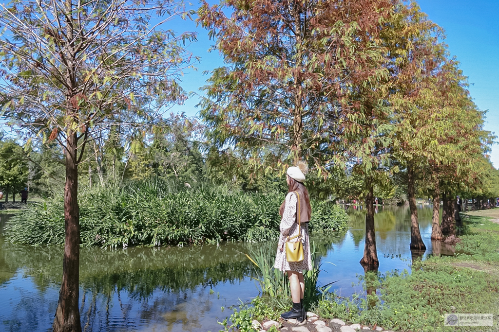 桃園大溪景點-月眉人工濕地生態公園-波光粼粼湖面上的夢幻落羽松，免費景點 @靜兒貪吃遊玩愛分享