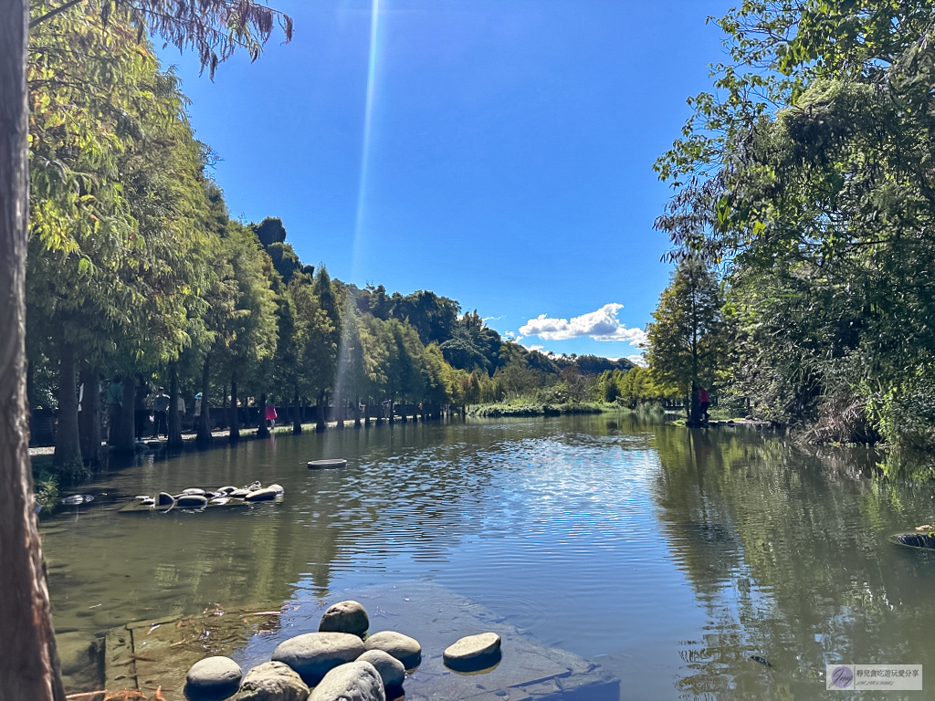 桃園大溪景點-月眉人工濕地生態公園-波光粼粼湖面上的夢幻落羽松，免費景點 @靜兒貪吃遊玩愛分享