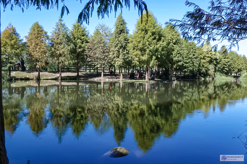 桃園大溪景點-月眉人工濕地生態公園-波光粼粼湖面上的夢幻落羽松，免費景點 @靜兒貪吃遊玩愛分享