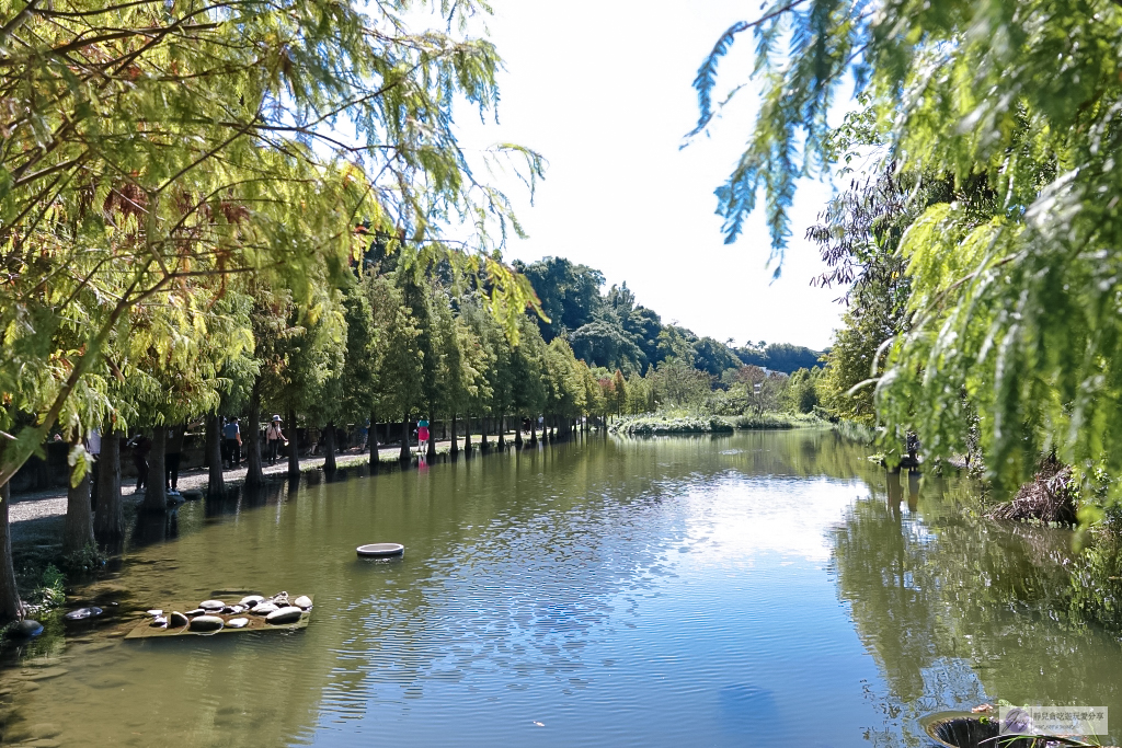 桃園大溪景點-月眉人工濕地生態公園-波光粼粼湖面上的夢幻落羽松，免費景點 @靜兒貪吃遊玩愛分享