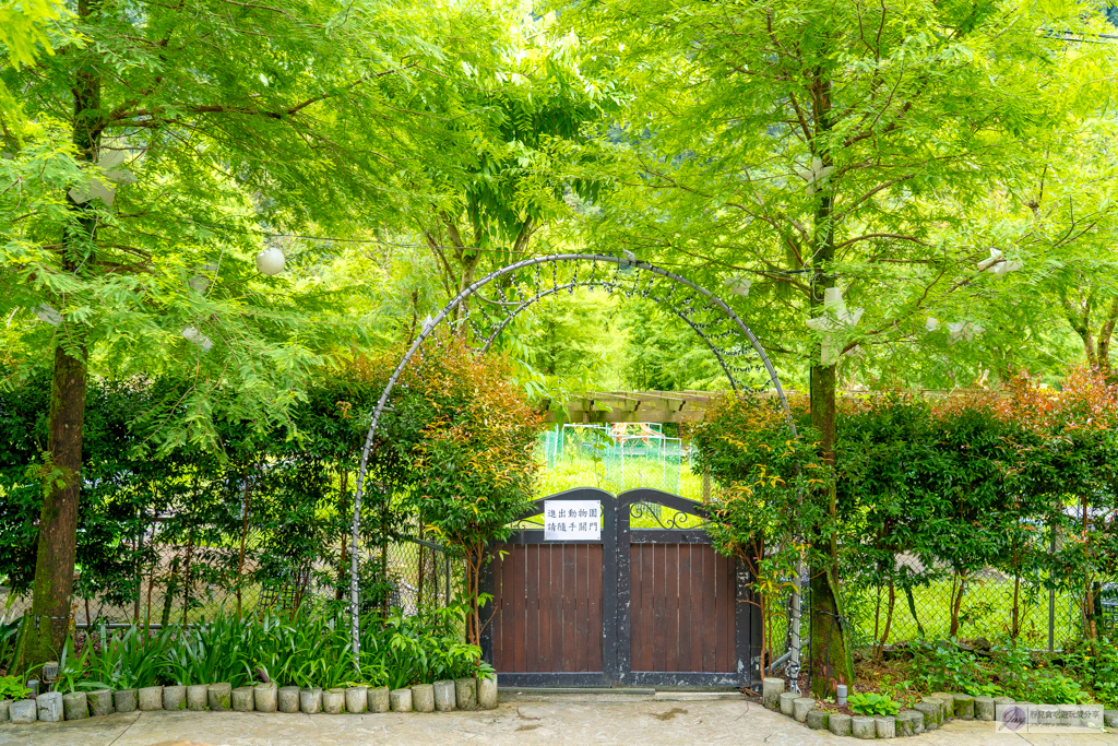 宜蘭一日遊景點-鳳梨屋水上莊園-隱藏在山林深處！假日戲水羊咩咩互動一日遊門票只要200元，還可抵消費100元，親子一日遊景點推薦 @靜兒貪吃遊玩愛分享