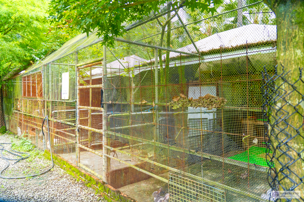 宜蘭員山住宿-鳳梨屋水上莊園-超狂豪華露營！一泊三食鱘龍魚、烤雞、螃蟹、生魚片Buffet，鳳梨戲水池、瀑布鞦韆、彩虹月亮網美必拍景點 @靜兒貪吃遊玩愛分享