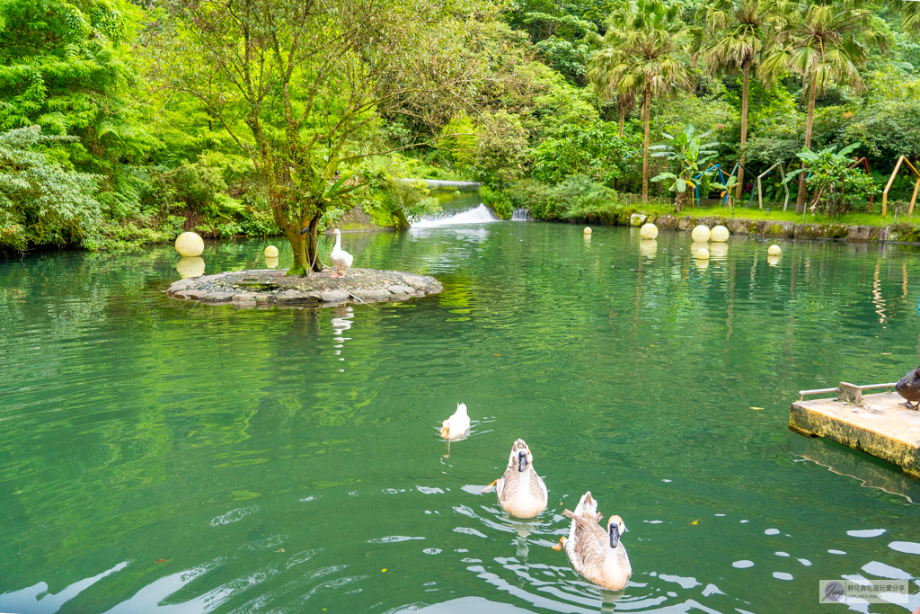 宜蘭員山住宿-鳳梨屋水上莊園-超狂豪華露營！一泊三食鱘龍魚、烤雞、螃蟹、生魚片Buffet，鳳梨戲水池、瀑布鞦韆、彩虹月亮網美必拍景點 @靜兒貪吃遊玩愛分享