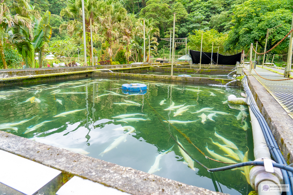 宜蘭員山住宿-鳳梨屋水上莊園-超狂豪華露營！一泊三食鱘龍魚、烤雞、螃蟹、生魚片Buffet，鳳梨戲水池、瀑布鞦韆、彩虹月亮網美必拍景點 @靜兒貪吃遊玩愛分享