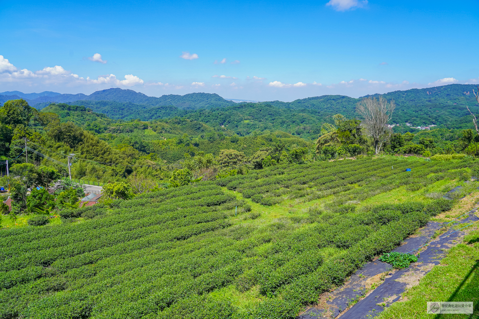 桃園復興美食-山月茶屋-隱藏在秘境山腰！絕美的茶園山景第一排，茶香四溢的日韓文青茶屋/鄰近拉拉山 @靜兒貪吃遊玩愛分享