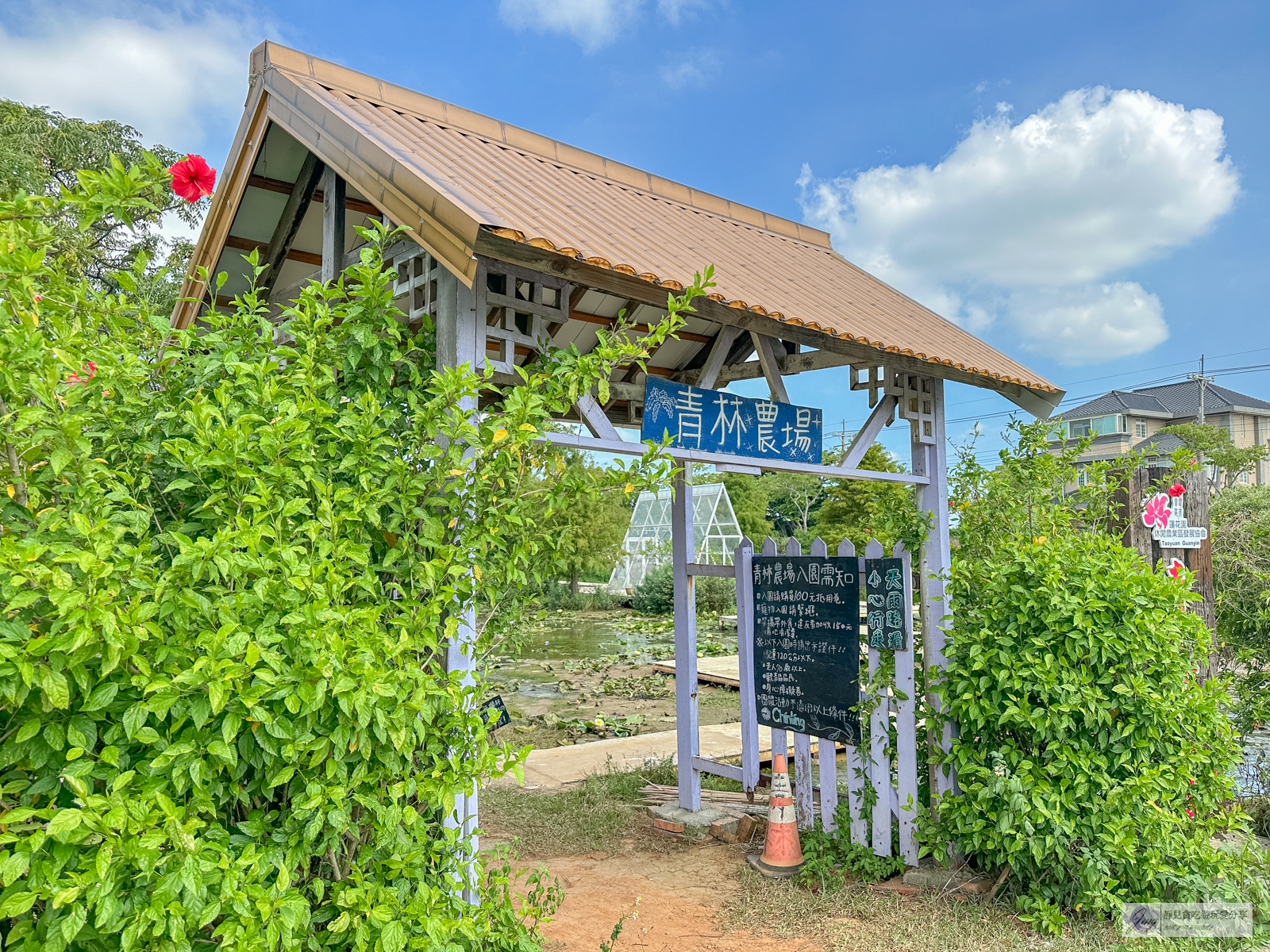 桃園景點-青林農場-門票只要100元，餵食草泥馬、乘坐小火車、控窯，浪漫唯美玻璃屋、花海超好拍，親子景點推薦 @靜兒貪吃遊玩愛分享