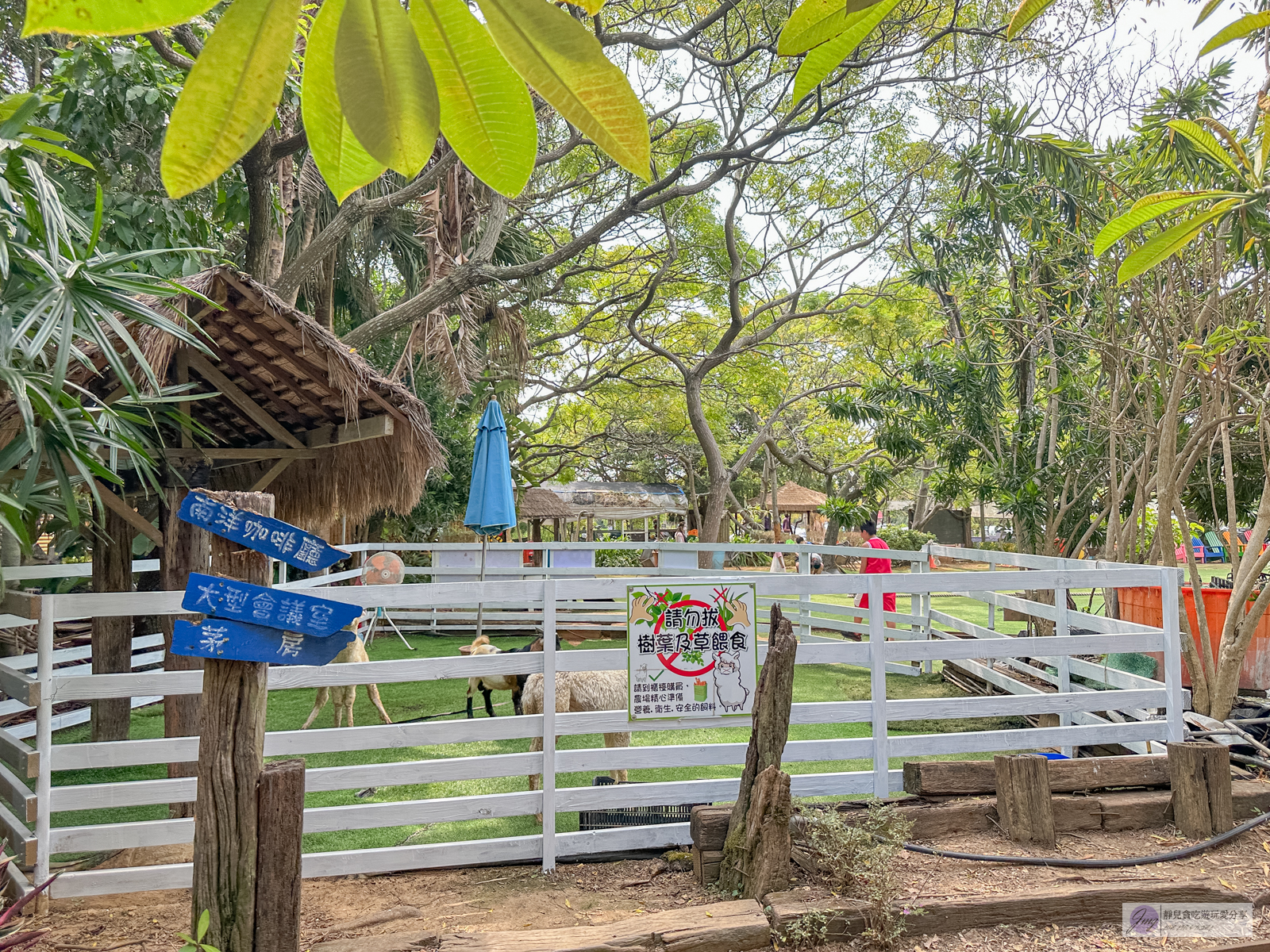 桃園景點-青林農場-門票只要100元，餵食草泥馬、乘坐小火車、控窯，浪漫唯美玻璃屋、花海超好拍，親子景點推薦 @靜兒貪吃遊玩愛分享