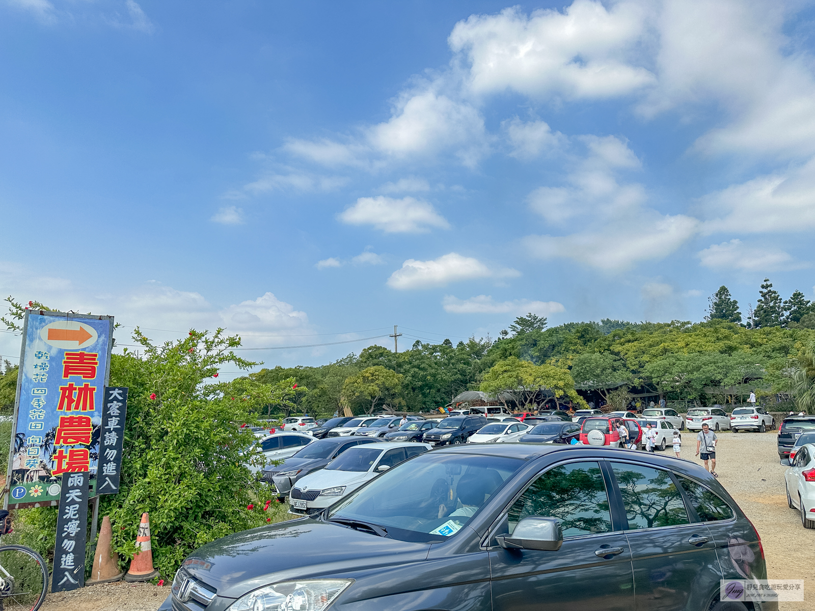 桃園景點-青林農場-門票只要100元，餵食草泥馬、乘坐小火車、控窯，浪漫唯美玻璃屋、花海超好拍，親子景點推薦 @靜兒貪吃遊玩愛分享