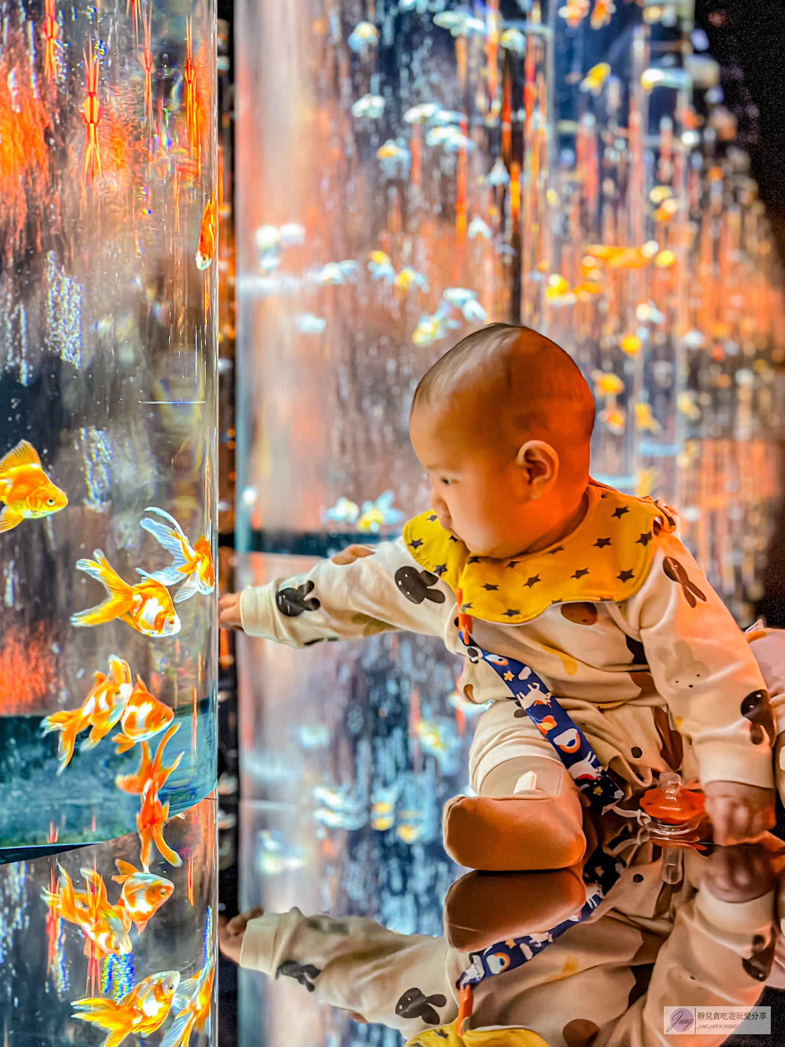 日本東京旅遊-銀座藝術水族館-活藝術品！多達70種水中舞者金魚，結合高科技聲光效果與裝置藝術設計，療癒又夢幻/銀座三越百貨內 @靜兒貪吃遊玩愛分享