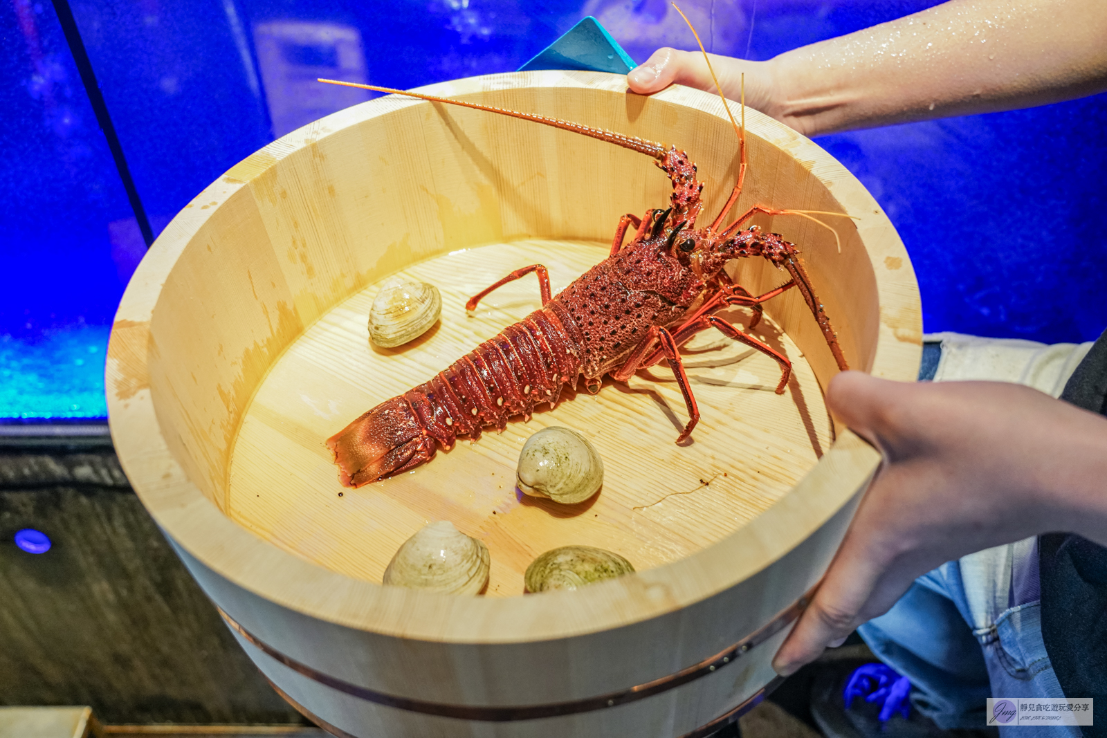 桃園美食-派大鮮精緻鍋物-套餐最低只要399元！快溢出來的鮭魚卵蓋飯，海陸雙人多達9種海鮮，現撈活體海鮮CP值超高 @靜兒貪吃遊玩愛分享