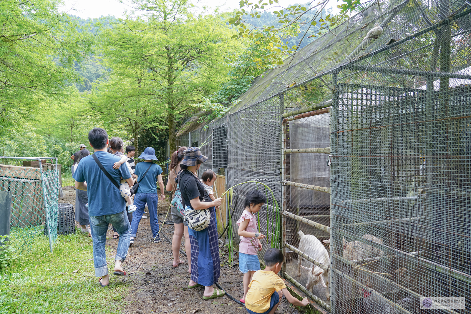 宜蘭一日遊景點-鳳梨屋水上莊園-隱藏在山林深處！假日戲水羊咩咩互動一日遊門票只要200元，還可抵消費100元，親子一日遊景點推薦 @靜兒貪吃遊玩愛分享