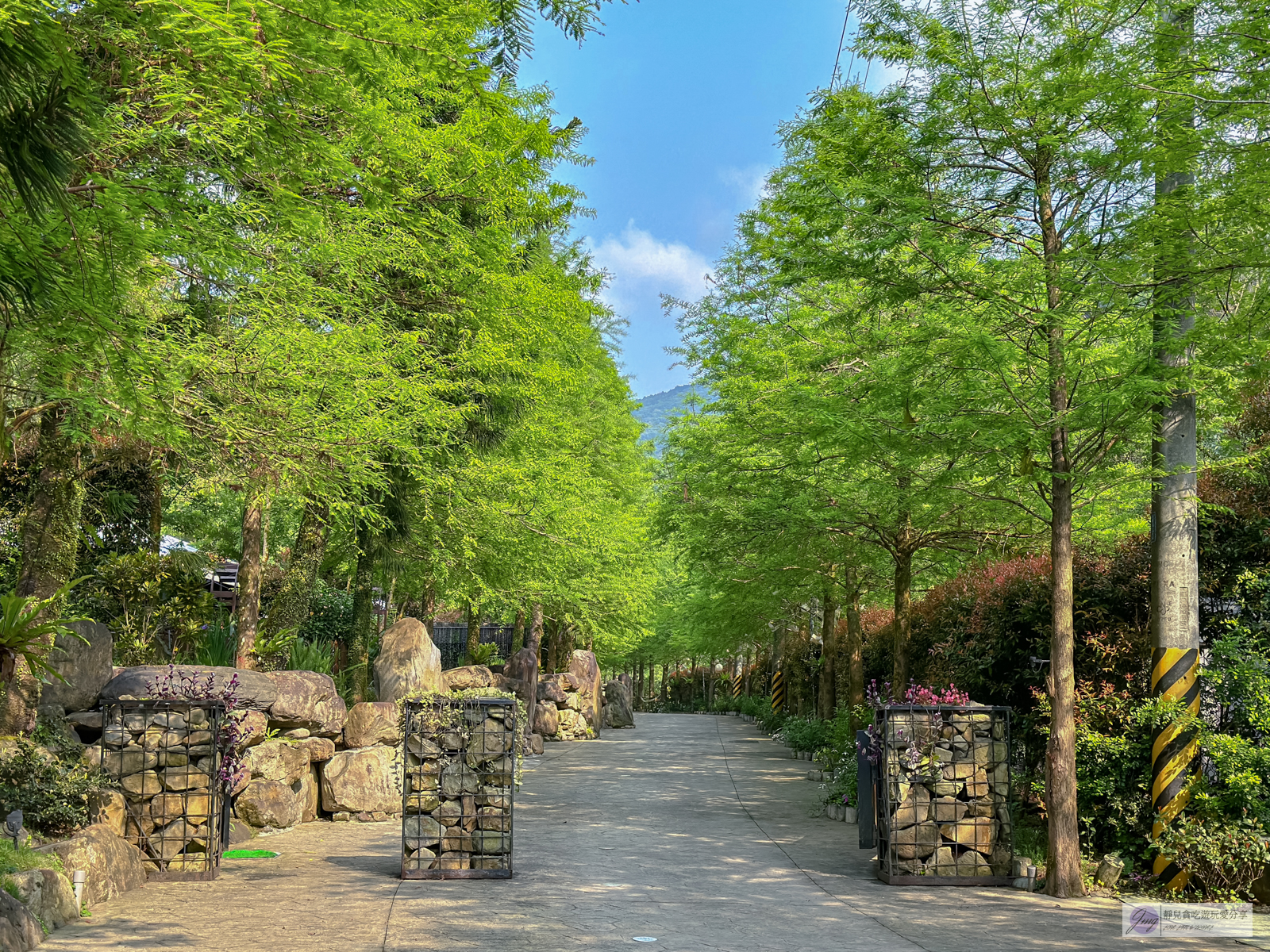 宜蘭一日遊景點-鳳梨屋水上莊園-隱藏在山林深處！假日戲水羊咩咩互動一日遊門票只要200元，還可抵消費100元，親子一日遊景點推薦 @靜兒貪吃遊玩愛分享