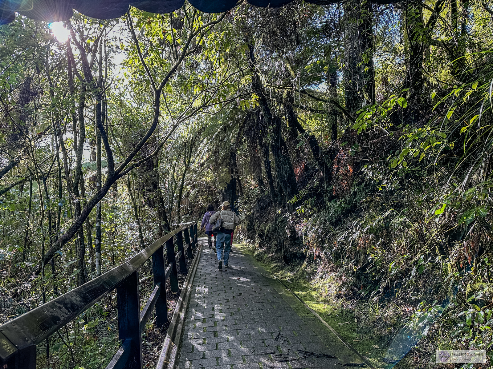 紐西蘭景點-走入電影魔戒的拍攝地哈比村，浪漫藍光懷托摩螢火蟲洞/一日遊行程 @靜兒貪吃遊玩愛分享