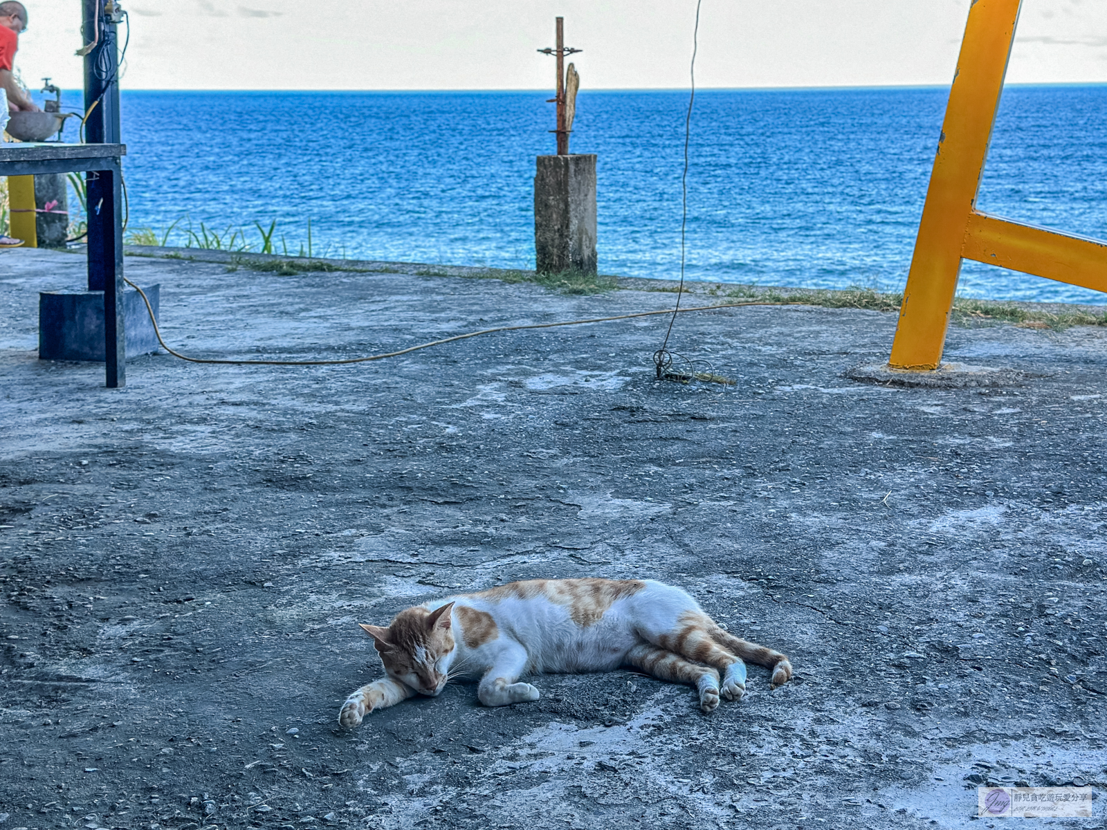 U mi 屋銤海鮮-海景第一排！澎湃現撈活龍蝦海鮮料理，眺望太平洋無敵海景/鄰近海洋公園 @靜兒貪吃遊玩愛分享