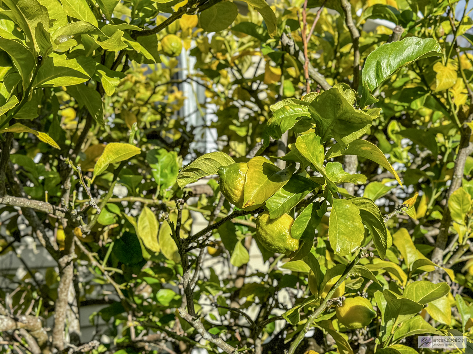 紐西蘭住宿-羅托魯瓦Rotorua-絕美歐式鄉村villa，平均一人一晚$1100，獨立大後院、開放式廚房、三間臥房的包棟民宿 @靜兒貪吃遊玩愛分享