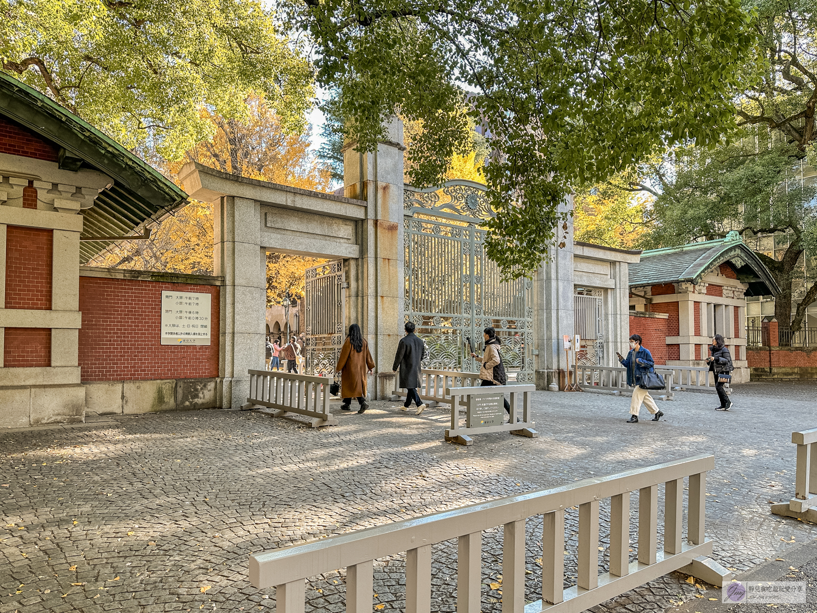 東京大學銀杏並木-秋日限定！唯美浪漫的歐式銀杏大道，銀杏樹下喝咖啡，免費景點 @靜兒貪吃遊玩愛分享