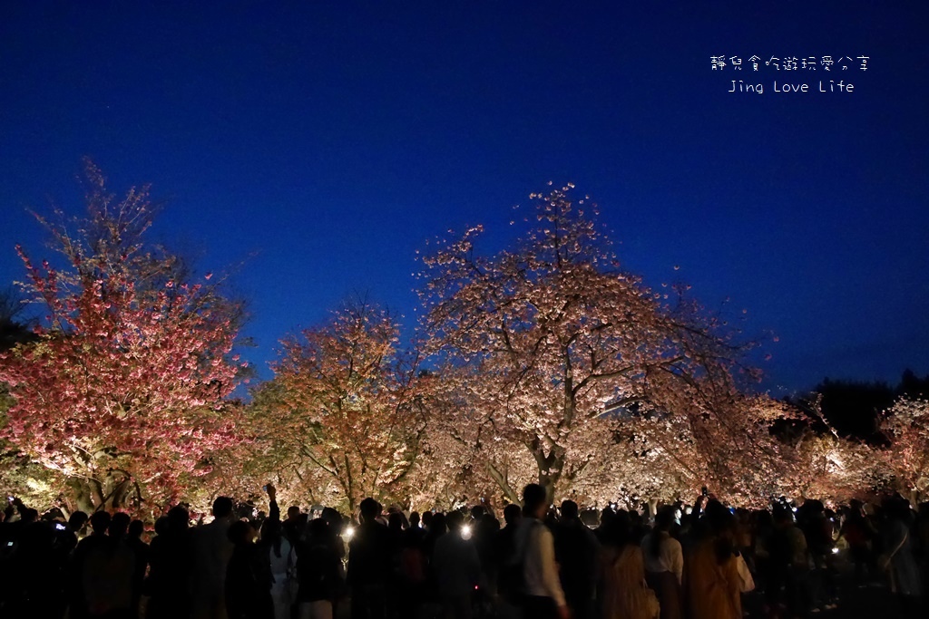 ★景點★日本京都→【元離宮二条城】令人驚豔與讚嘆的夜櫻❤華麗舞動的光與櫻 @靜兒貪吃遊玩愛分享