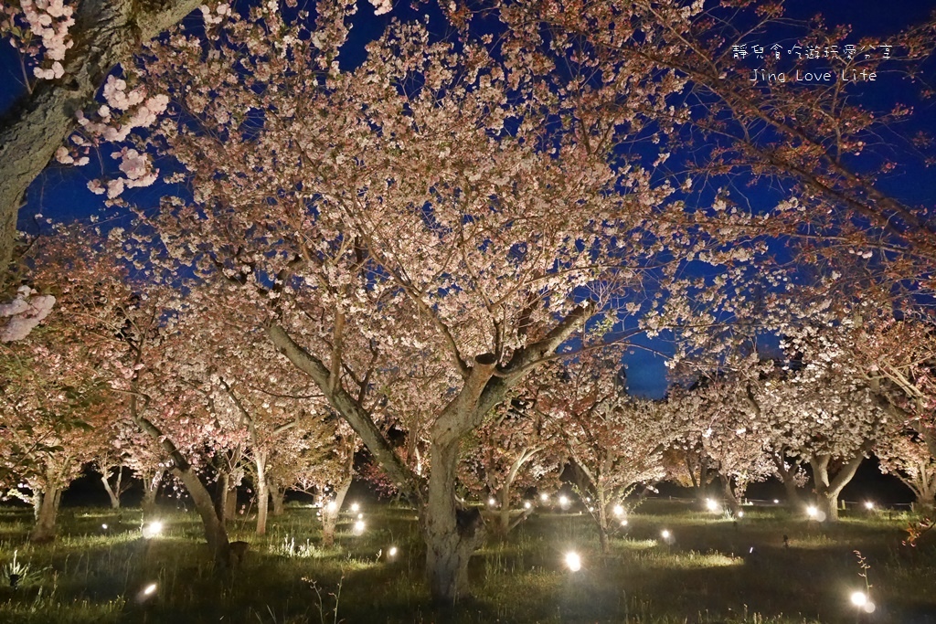 ★景點★日本京都→【元離宮二条城】令人驚豔與讚嘆的夜櫻❤華麗舞動的光與櫻 @靜兒貪吃遊玩愛分享