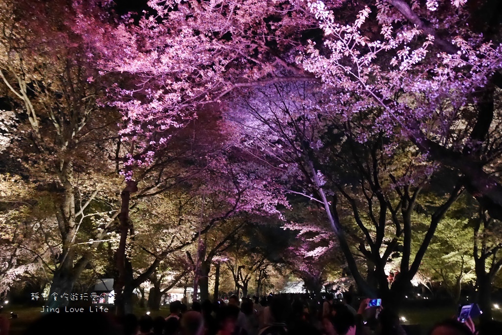 ★景點★日本京都→【元離宮二条城】令人驚豔與讚嘆的夜櫻❤華麗舞動的光與櫻 @靜兒貪吃遊玩愛分享