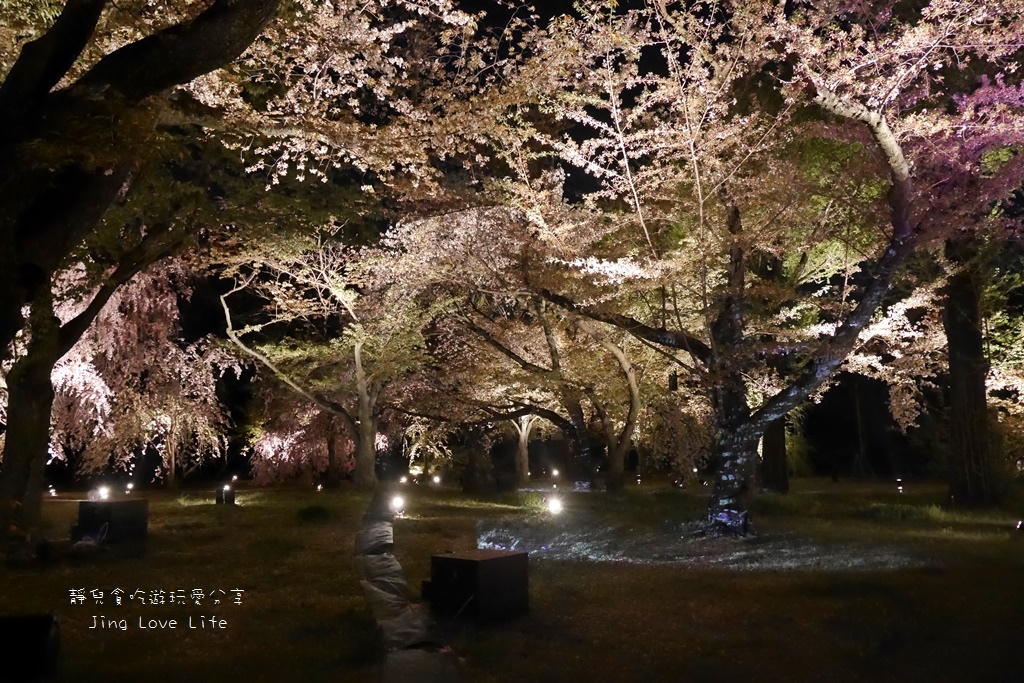 ★景點★日本京都→【元離宮二条城】令人驚豔與讚嘆的夜櫻❤華麗舞動的光與櫻 @靜兒貪吃遊玩愛分享