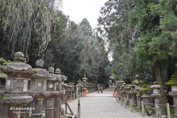 ∞旅遊∞日本。京阪神八天七夜自由行/東大寺奈良公園/中谷堂麻糬/大佛布丁/國產牛燒肉食べ放題★DAY4行程紀錄分享 @靜兒貪吃遊玩愛分享