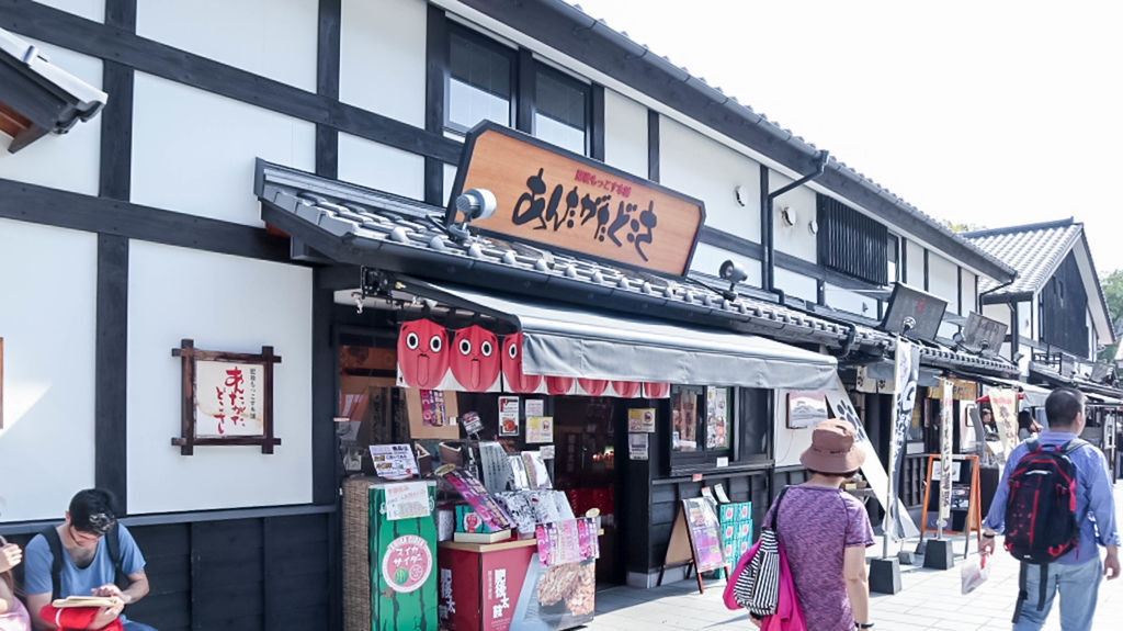 日本Japan-九州KURUKURU巴士一日遊-熊本水前寺、櫻之馬彩苑、柳川水鄉場城、八女傳統工藝館/VELTRA @靜兒貪吃遊玩愛分享