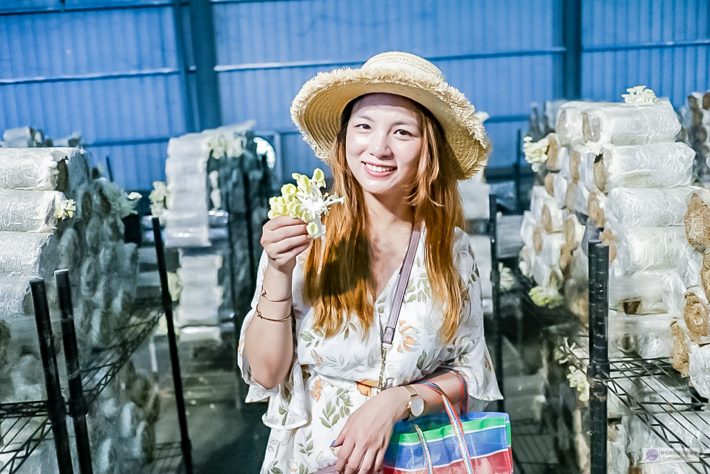 雲林麥寮景點-晁陽綠能體驗農場-七彩斜屋頂綠色經濟體驗太陽能教育休閒農場一日遊/親子體驗親手採摘DIY的樂趣/雲林百選 @靜兒貪吃遊玩愛分享