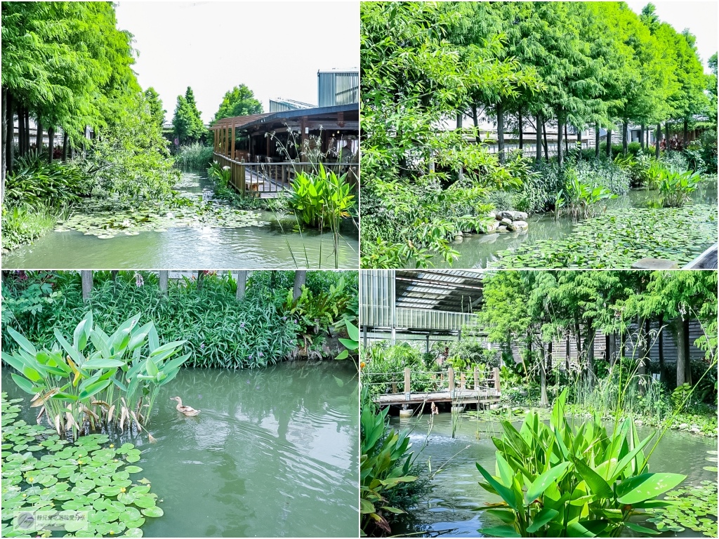 雲林麥寮景點-晁陽綠能體驗農場-七彩斜屋頂綠色經濟體驗太陽能教育休閒農場一日遊/親子體驗親手採摘DIY的樂趣/雲林百選 @靜兒貪吃遊玩愛分享