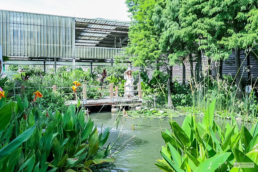 雲林麥寮景點-晁陽綠能體驗農場-七彩斜屋頂綠色經濟體驗太陽能教育休閒農場一日遊/親子體驗親手採摘DIY的樂趣/雲林百選 @靜兒貪吃遊玩愛分享