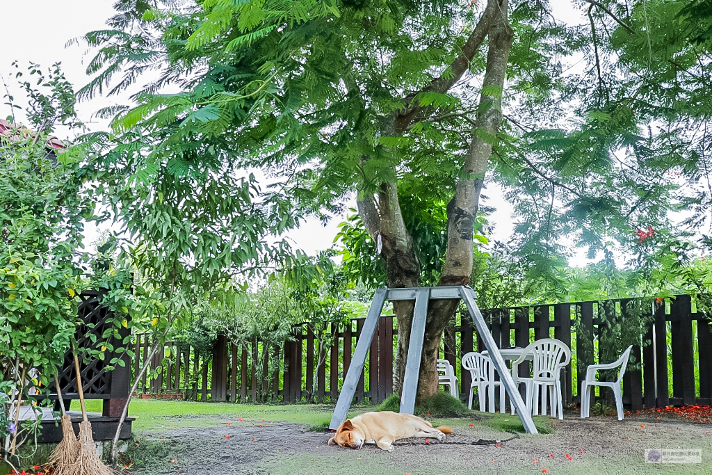 桃園龍潭美食-尼爾瓦特 NEAR WATER café-石門水庫旁優美風景的不限時景觀咖啡廳/早午餐 咖啡 甜點/鄰近石門水庫/寵物友善餐廳 @靜兒貪吃遊玩愛分享