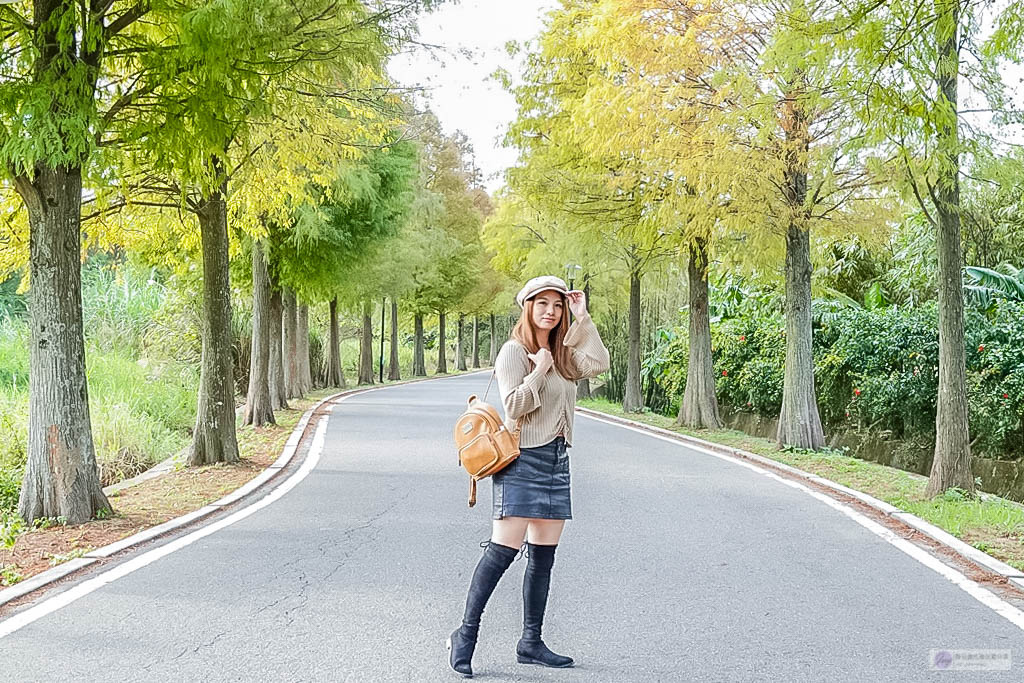 桃園大溪景點-大溪落羽松大道-落羽松美景，秋冬季節限定不能錯過的免費秘境美景/IG打卡聚集地 @靜兒貪吃遊玩愛分享