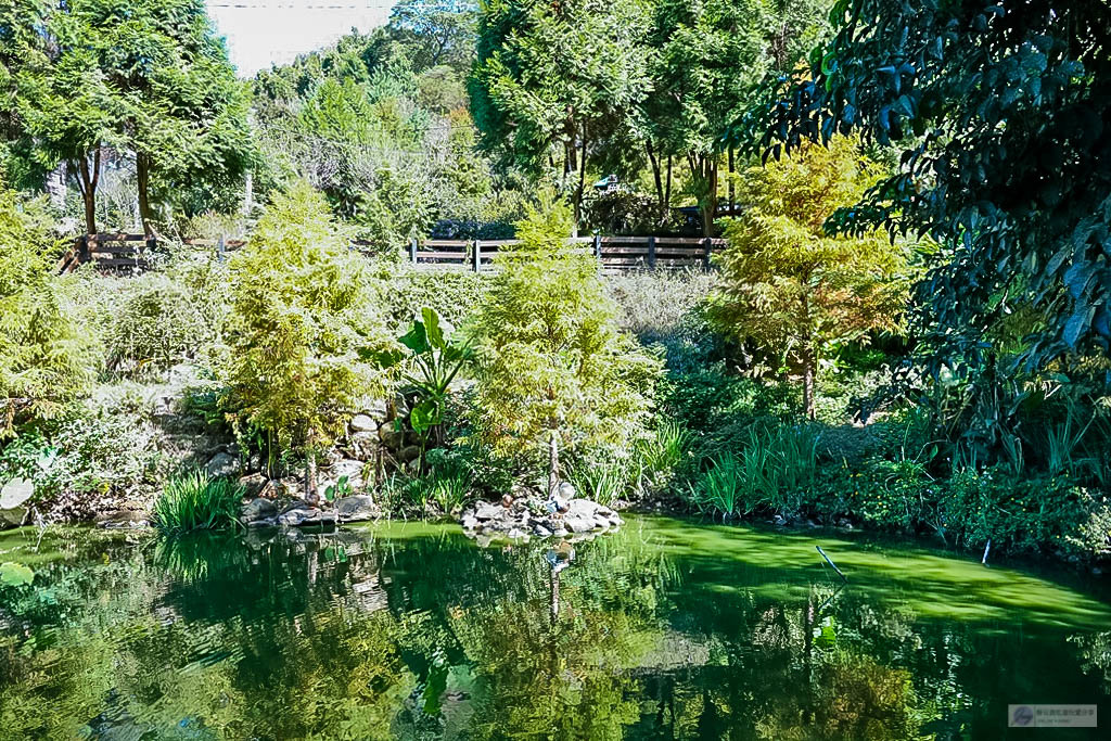 桃園復興美食-丸山咖啡-欣賞四季景緻的唯美浪漫風格景觀咖啡廳/義大利麵 鬆餅 下午茶/寵物友善、親子友善餐廳 @靜兒貪吃遊玩愛分享