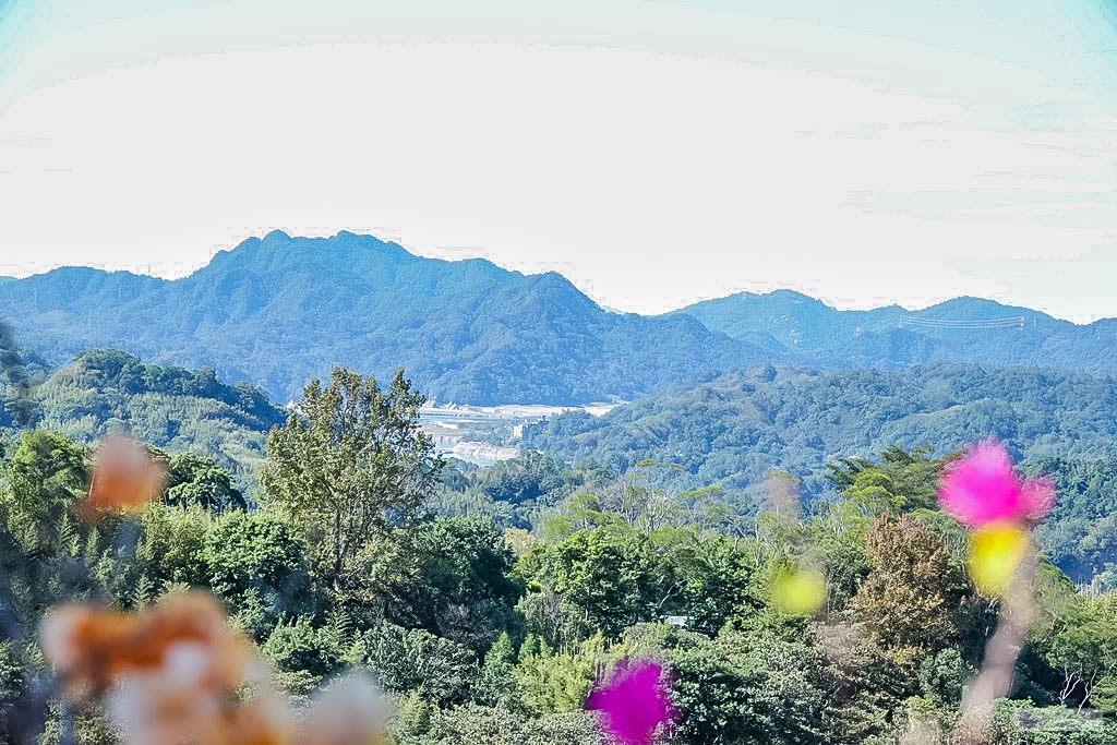 桃園復興美食-丸山咖啡-欣賞四季景緻的唯美浪漫風格景觀咖啡廳/義大利麵 鬆餅 下午茶/寵物友善、親子友善餐廳 @靜兒貪吃遊玩愛分享