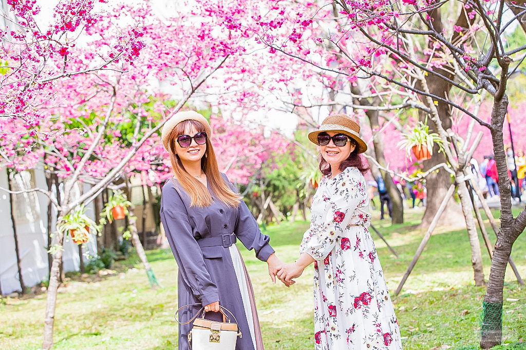 桃園中壢景點-莒光公園-秒入偽日本賞櫻景點 春季八重櫻盛開的夢幻美景 浪漫綺麗的夜櫻之美/IG打卡聚集地/鄰近中原夜市/親子景點 @靜兒貪吃遊玩愛分享