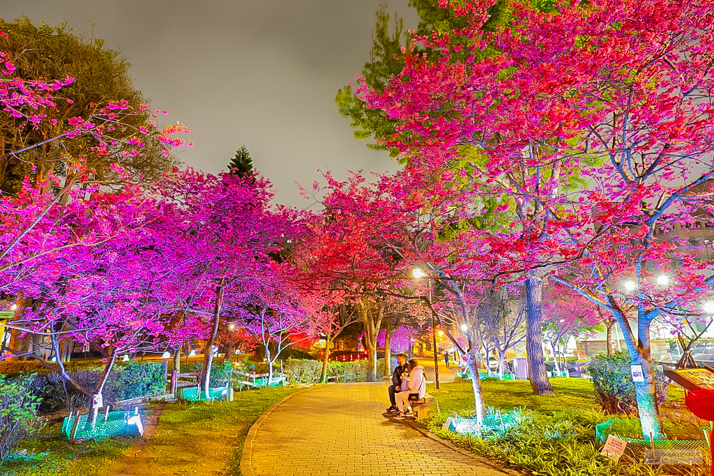 桃園中壢景點-莒光公園-秒入偽日本賞櫻景點 春季八重櫻盛開的夢幻美景 浪漫綺麗的夜櫻之美/IG打卡聚集地/鄰近中原夜市/親子景點 @靜兒貪吃遊玩愛分享