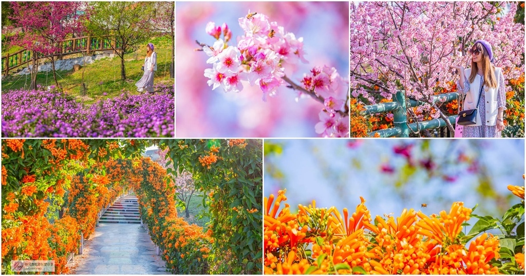 新北鶯歌景點-永吉公園-抓住春天的浪漫櫻花及滿開的炮仗花隧道/IG打卡聚集地/鄰近鶯歌老街/親子景點 @靜兒貪吃遊玩愛分享