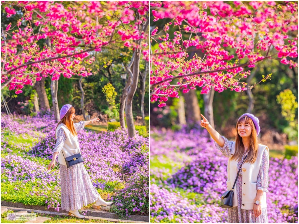 新北鶯歌景點-永吉公園-抓住春天的浪漫櫻花及滿開的炮仗花隧道/IG打卡聚集地/鄰近鶯歌老街/親子景點 @靜兒貪吃遊玩愛分享