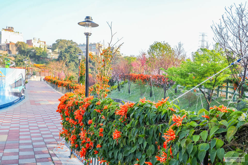 新北鶯歌景點-永吉公園-抓住春天的浪漫櫻花及滿開的炮仗花隧道/IG打卡聚集地/鄰近鶯歌老街/親子景點 @靜兒貪吃遊玩愛分享