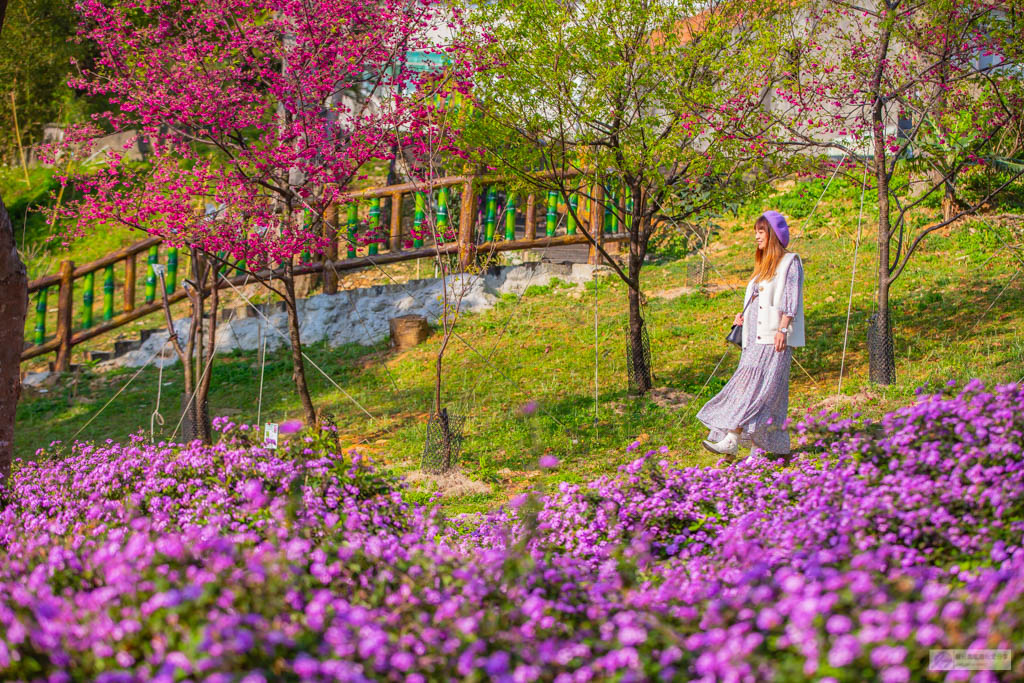 新北鶯歌景點-永吉公園-抓住春天的浪漫櫻花及滿開的炮仗花隧道/IG打卡聚集地/鄰近鶯歌老街/親子景點 @靜兒貪吃遊玩愛分享